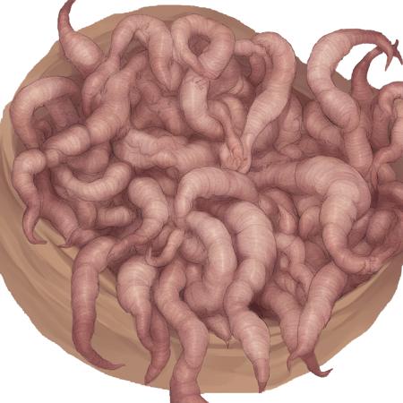 Multiple creature insertion V1