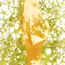 GinkgoWM