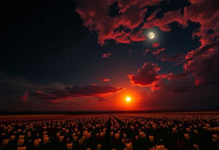 (((Black and gold tulips))), extremely detailed sky, from a high cliff, starry sky, dark night, moon on fire, fields of black and gold tulips, beautiful fields, very bright, vibrant clouds, red clouds, storm coming, 8k wallpaper, romantic, perfect quality, very detailed, beautiful