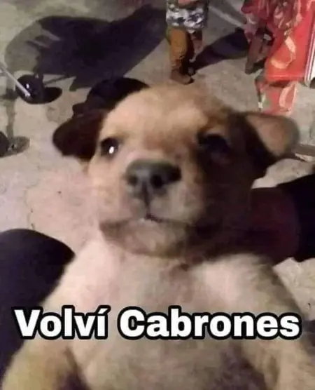 alanandres351's Avatar