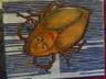 Catspores's Avatar