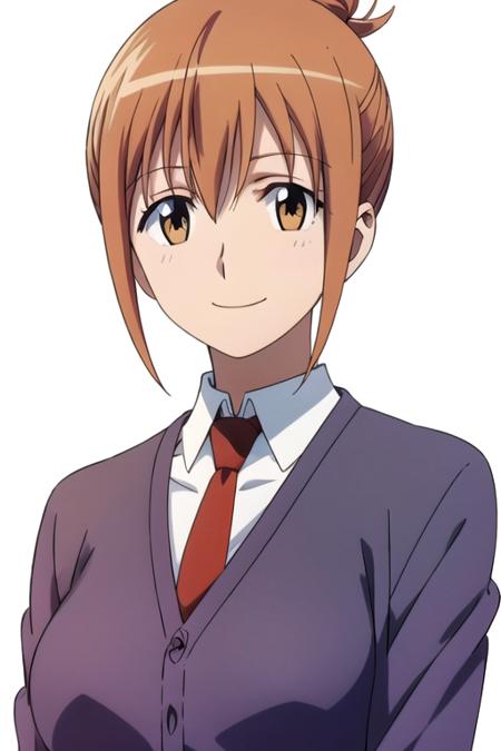 Nozomi Mori - Seitokai Yakuindomo v2.0n