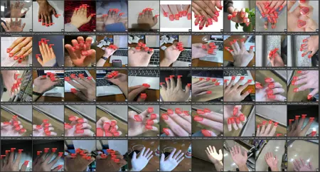Nails Segmentation - ADetailer - (nails_seg_s_yolov8)