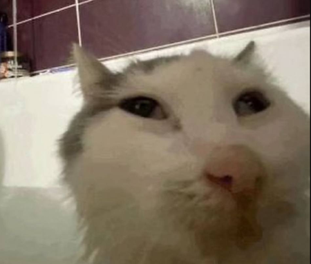 Amongusy's Avatar