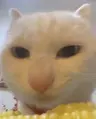 Efrzd's Avatar