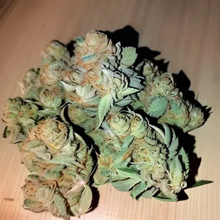 Weed Diffusion