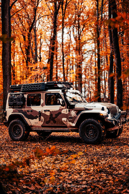 jeep-forest-5.jpg