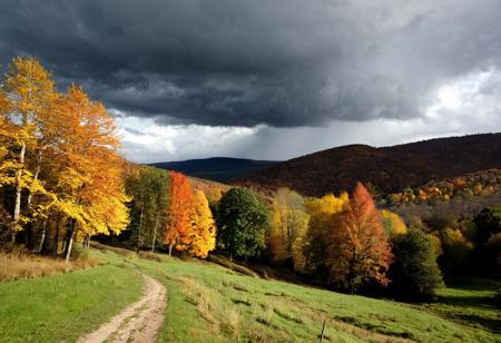 professional photo, photo of autumn landscape, dramatic lighting, gloomy, cloudy weather