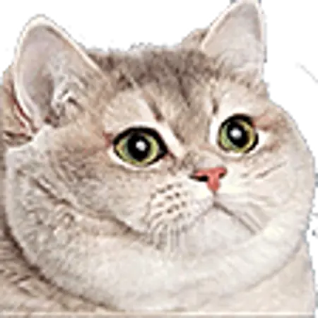 striteralfa's Avatar