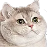 striteralfa's Avatar