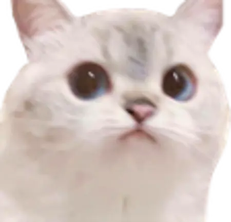 WeirdCatForWeirdPics's Avatar