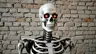 CL0T's Avatar