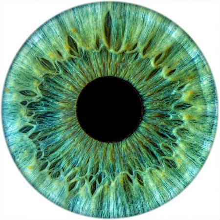Airis eye texture F1.0