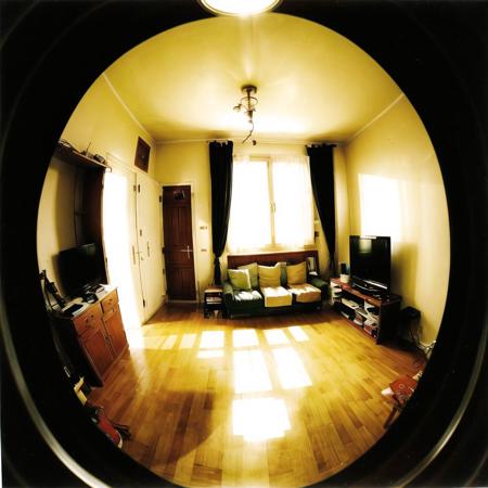 <lora:fisheye2:1>, fisheye, 

living room, soviet apartment, summer day, dust in air