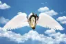 FlyingOyster's Avatar