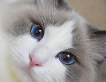 t0239184ps's Avatar