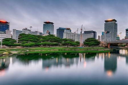 phtdzk1, incredibly detailed, landscape photography, cinematic lighting, volumetric lighting, Downtown Tokyo, Akihabara,  vibrant depth of color, FXAA, Chromatic Abberation, DSLR ,cphtdzk1