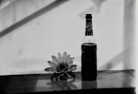 KB_coffeenol,  instagram photo,a bottle with a flower, hard shadows, film grain
