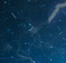 NeverWeather