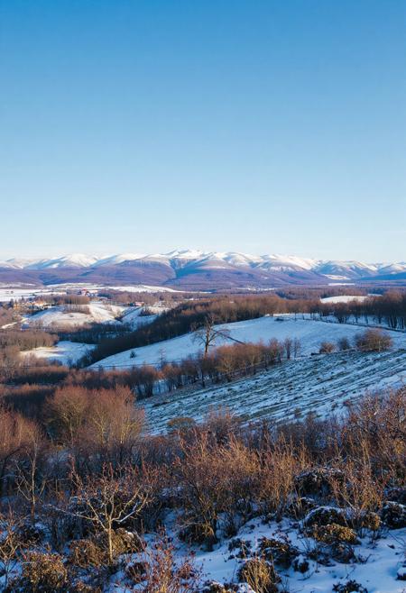 February landscape.