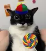 CooperL's Avatar