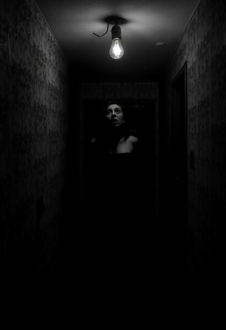 A narrow, dimly lit corridor stretches into darkness, illuminated only by the flickering light of a single exposed bulb hanging from the ceiling. A woman in a long, flowing nightgown stands frozen in the center, her shadow cast monstrously large against the crumbling wallpaper behind her. Her eyes are wide with fear, lips parted as if mid-scream, but no sound escapes. The scene is shot in black and white, evoking the high-contrast aesthetic of silent-era horror films. Chiaroscuro lighting exaggerates every shadow: the folds in her gown, the lines on her face, the eerie outline of a door ajar at the end of the hall. The atmosphere is thick with suspense—claustrophobic, surreal, and intensely dramatic, as if danger lurks just outside the frame.