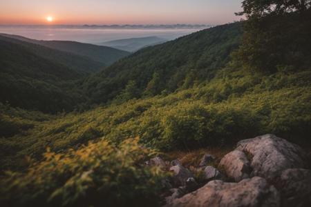 raw photo, a sunset landscape, (Hyrcanian Forests: 1.39) (temperate-rainforest), Iran, Caspian sea, cozy, photorealistic, high detailed texture, 8k uhd, dslr, soft lighting, high quality, film grain, Fujifilm XT3, Sony A7 IV, highly detailed photography, (muted colors, cinematic, dim colors, soothing tones:1.2), vibrant, insanely detailed, hyperdetailed, (dark shot:1.2), (vsco:0.3), (intricate details:0.9), (hdr, hyperdetailed:1.2) (highest coherency: 1.39) (highest quality: 1.39) (rule of Thirds) (award winning) (breathtaking) (masterclass) (vibrant color: 0.79) (mist: 0.79) (distant sea) (steep rocky hills) (sharp focus forground)
