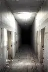 The_Missing_Models's Avatar