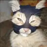1621263846750's Avatar