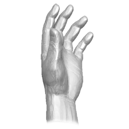 pp_hands_07_02.png