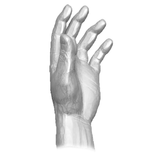 pp_hands_07_02.png