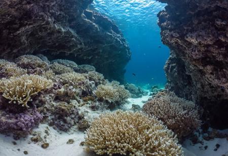 underwater grotto underwater cave sandy sea floor sea floor reef