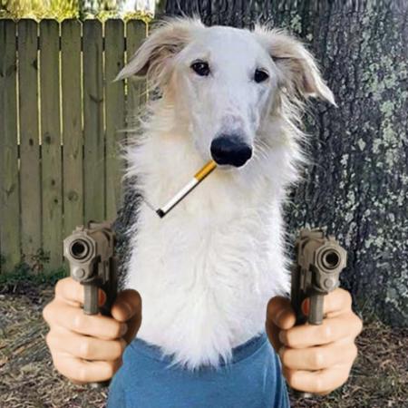 hornerrorist's Avatar