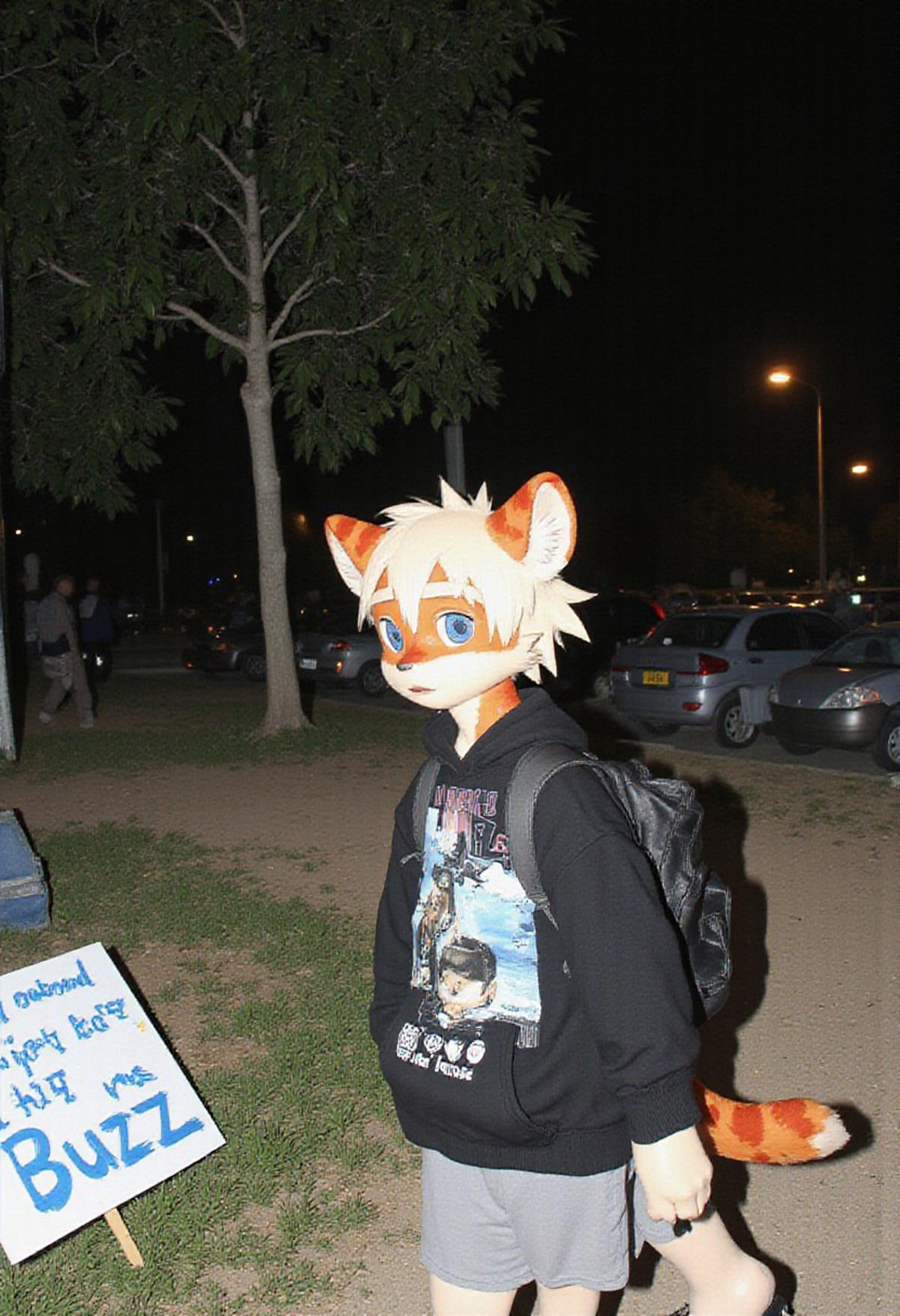 milkytiger, tiger ears, tiger boy, white eyebrows, white hair, blue eyes, 1boy, solo, furry, 2d Art, walks in a park at night with a sign "I demand a Really Super Gay Lora. Therefore, give me Buzz", milkytager he has tiger ears and orange fur, has blue eyes, He is wearing a black sweater and grey shorts, young, white hair