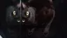 chmurilloroa's Avatar