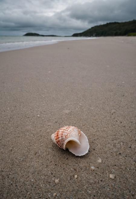 An empty beach stretches out under a heavy, overcast sky, with just a lone seashell resting on the wet sand near the water's edge. The scene captured by the Sony A7IV with a 20mm G Master lens set at a wide aperture of F1.5 unfolds with haunting beauty, enveloped in a moody and melancholic atmosphere, featuring the contrasting tones of soft pink and charcoal gray.