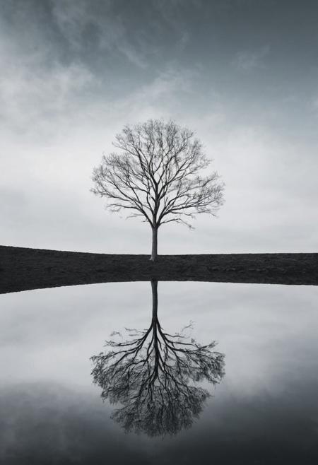 seamless black sky, mirror reflection.
a minimalistic scene, a single white tree in middle, perfect composition.
