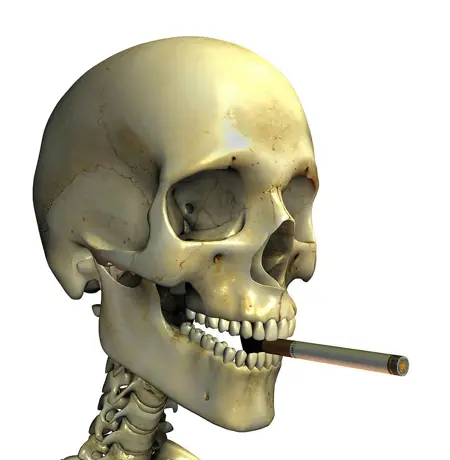 Dinglebottom's Avatar