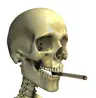 Dinglebottom's Avatar