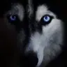 zefexi's Avatar