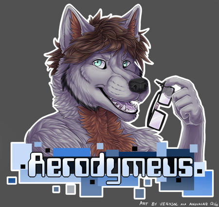 Aerodymeus's Avatar