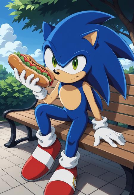 Sonic the Hedgehog (Sonic X) V1