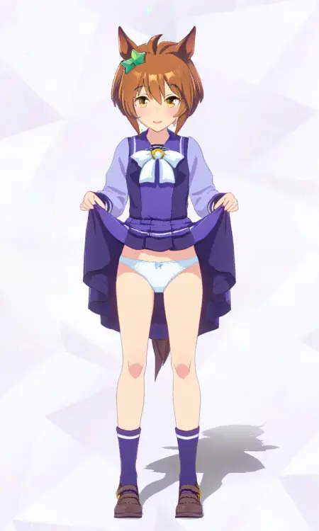 umamusume(game version 3D)