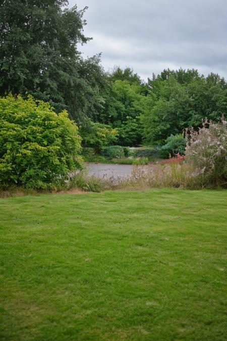 english back garden V1