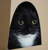 mr_Jack's Avatar