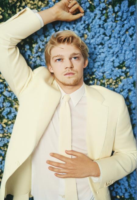 Joe Alwyn V1