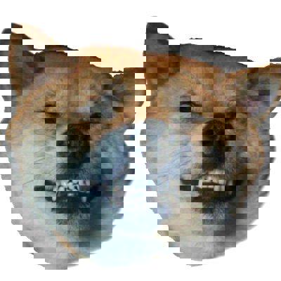 EcchiShiba's Avatar