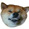 EcchiShiba's Avatar
