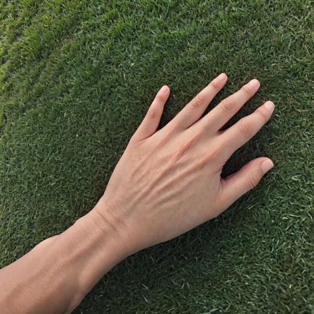 (best quality, masterpiece),  <lora:touch_grass:0.8> touch_grass, outdoor, hand, grass, 5 fingers