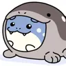 wjh369794930's Avatar